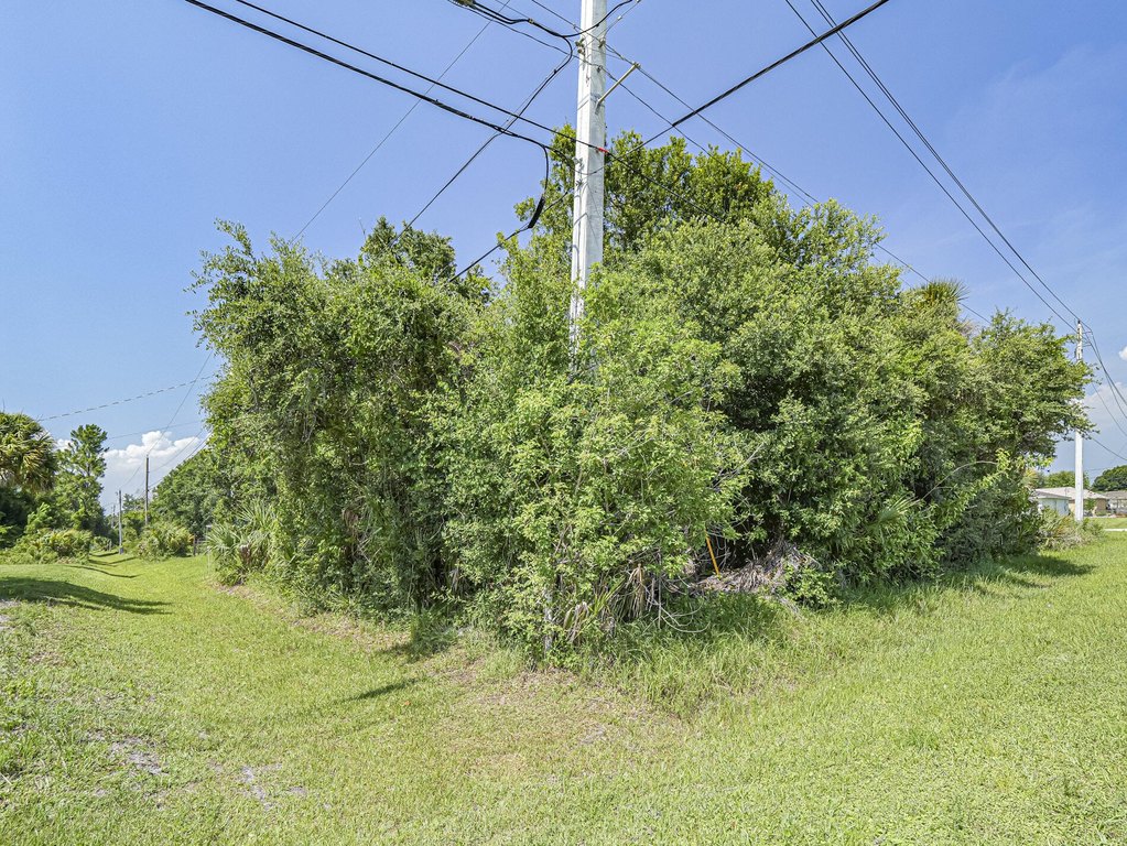 Picture 15