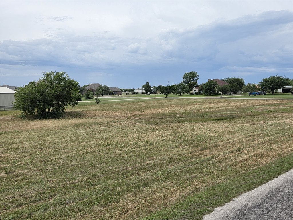 Picture 7