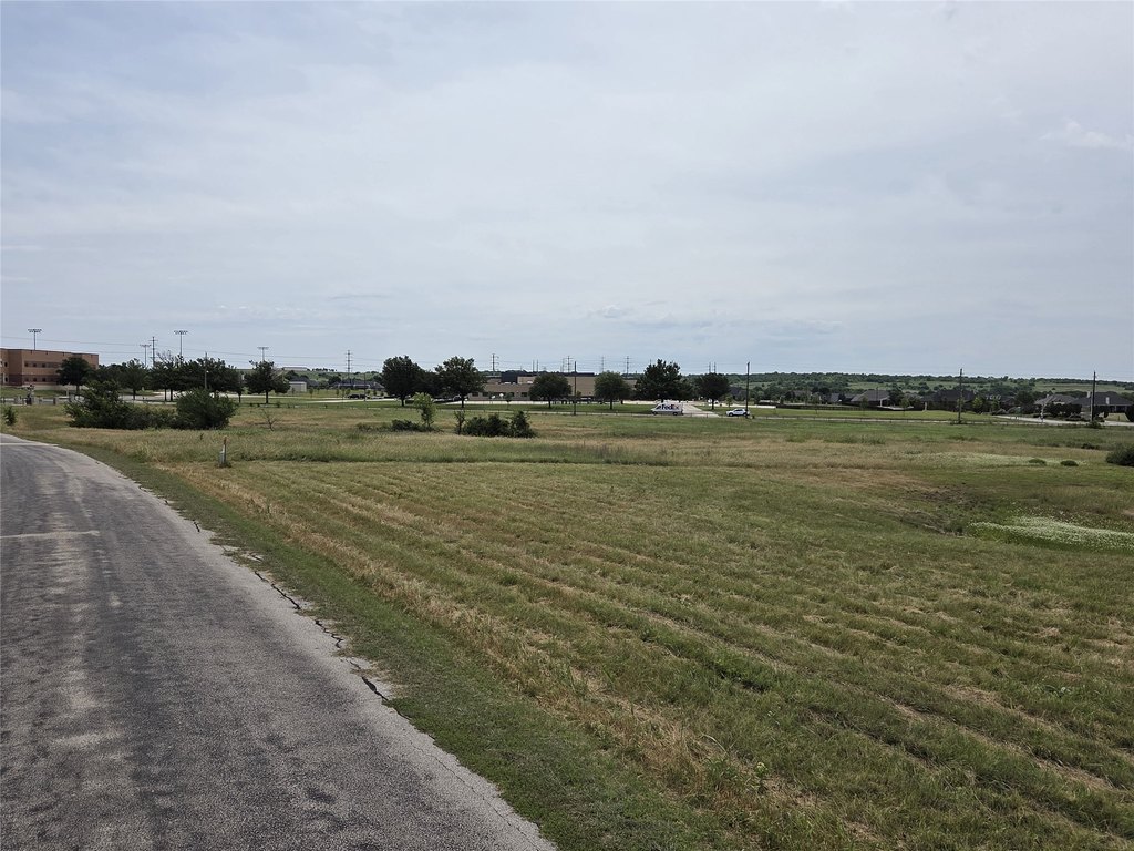 Picture 8