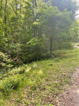 Residential Land in Dawsonville, GA