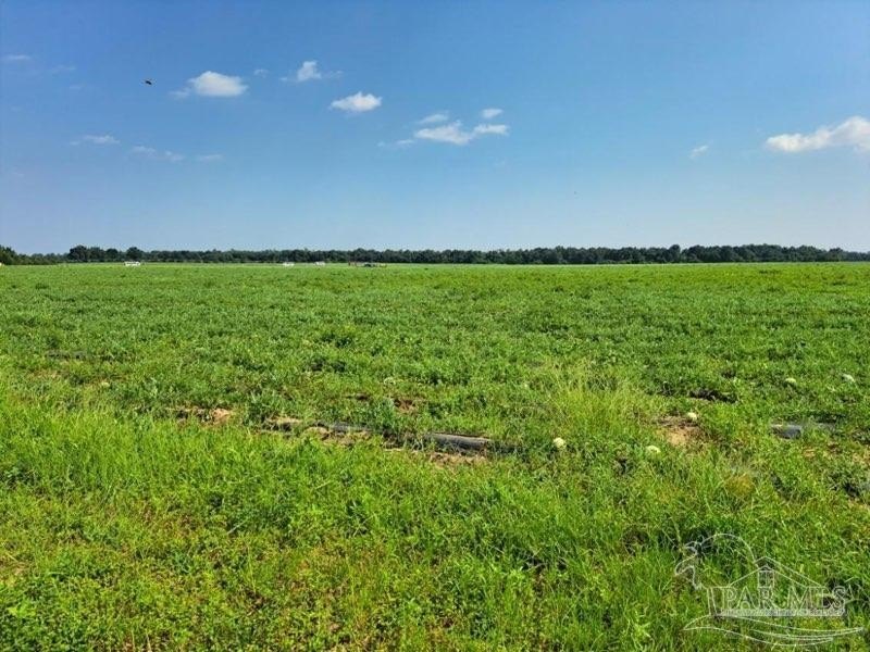 157 Acres Prime Development Opportunity