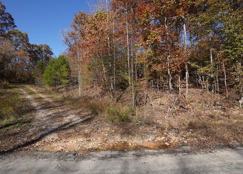 Unrestricted Acreage Ideal for Hunting
