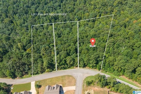 LAND/LOTS, TRUSSVILLE, AL