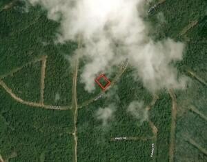 Land Near Arkansas Lake