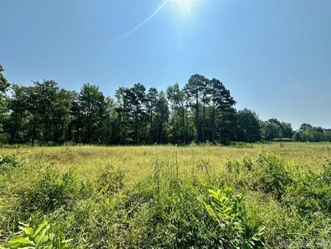 Wooded Land in Pine Bluff