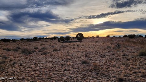 Expansive Corner Lot in Williams