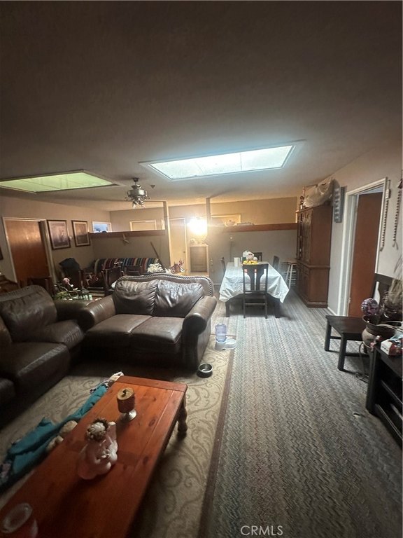 Picture 33