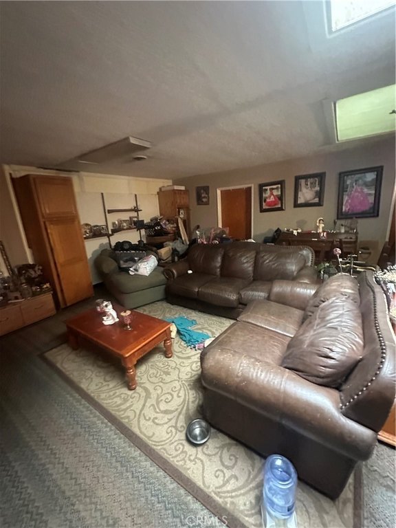 Picture 32