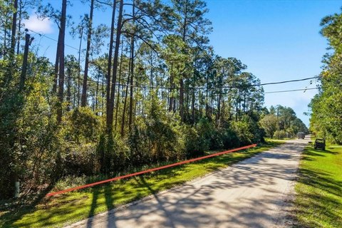 Land, BUNNELL, FL