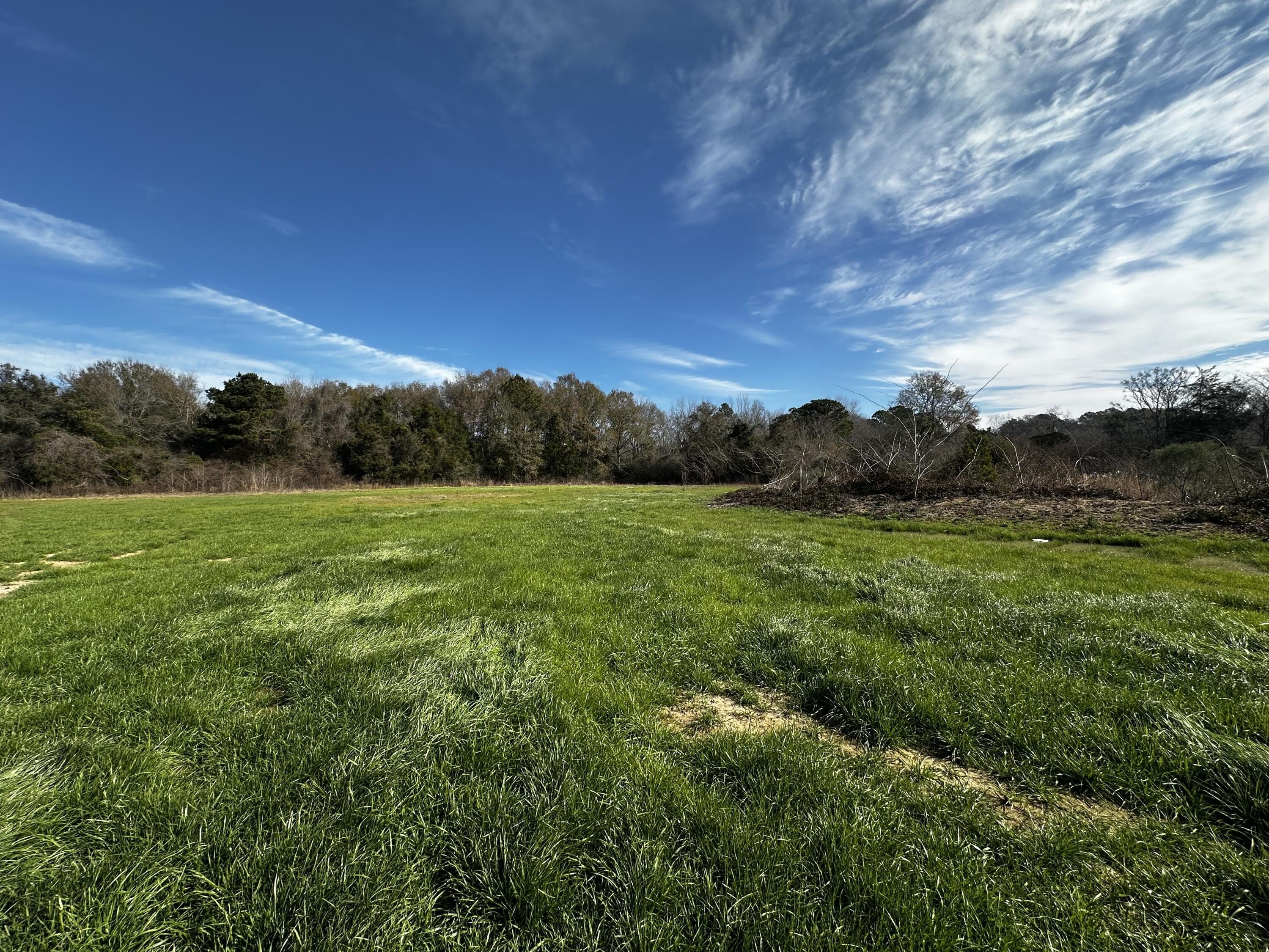 Cleared Land Parcel in Baker