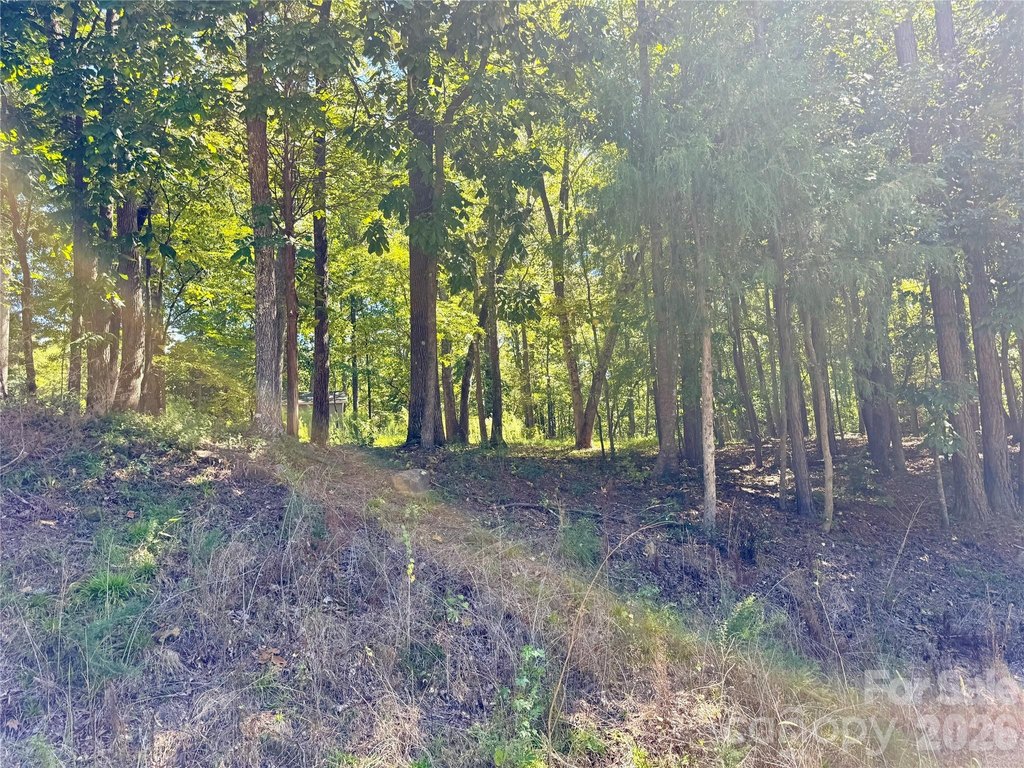 Picture 4