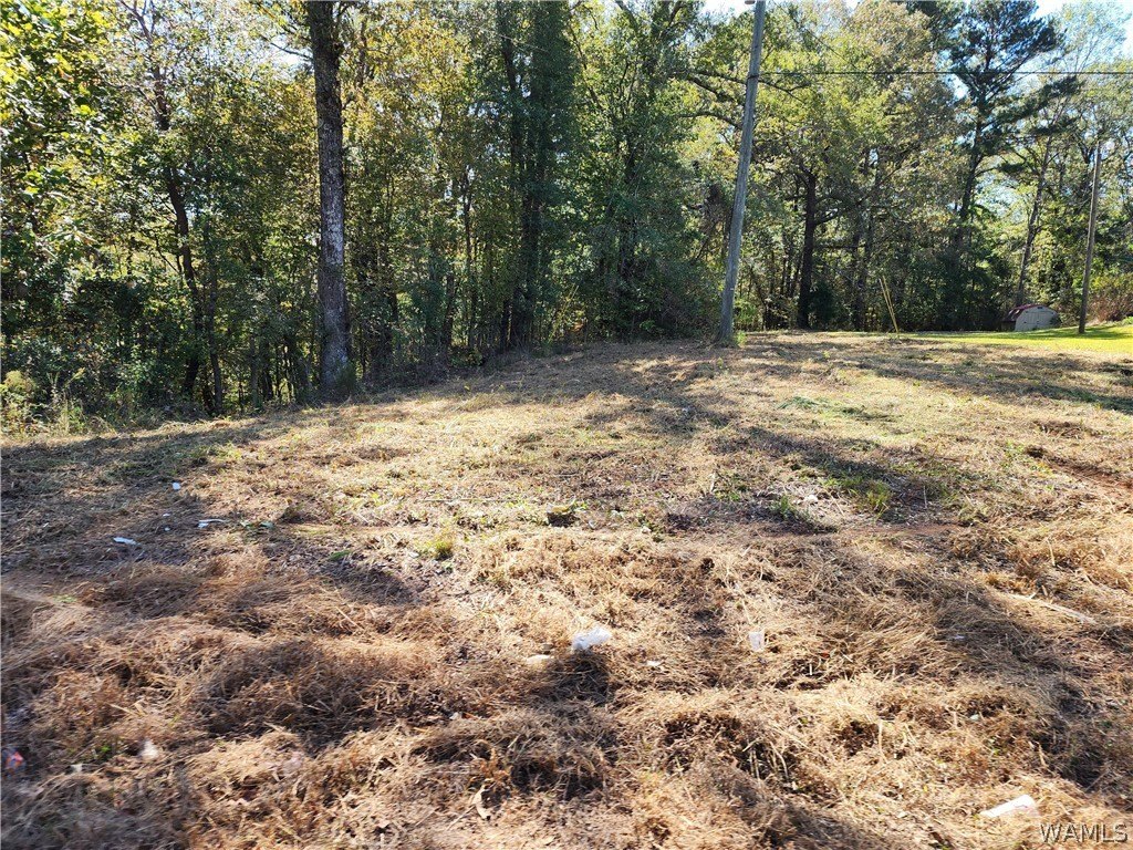 Picture 10