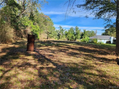 LAND - Cottondale, AL