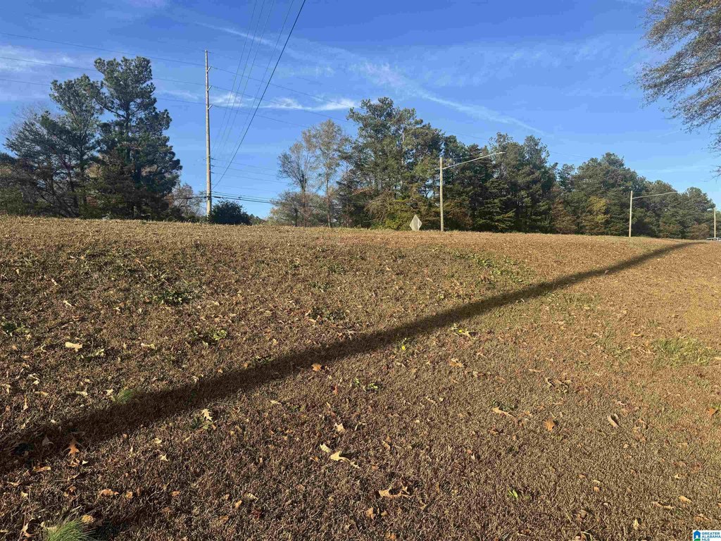 Picture 23