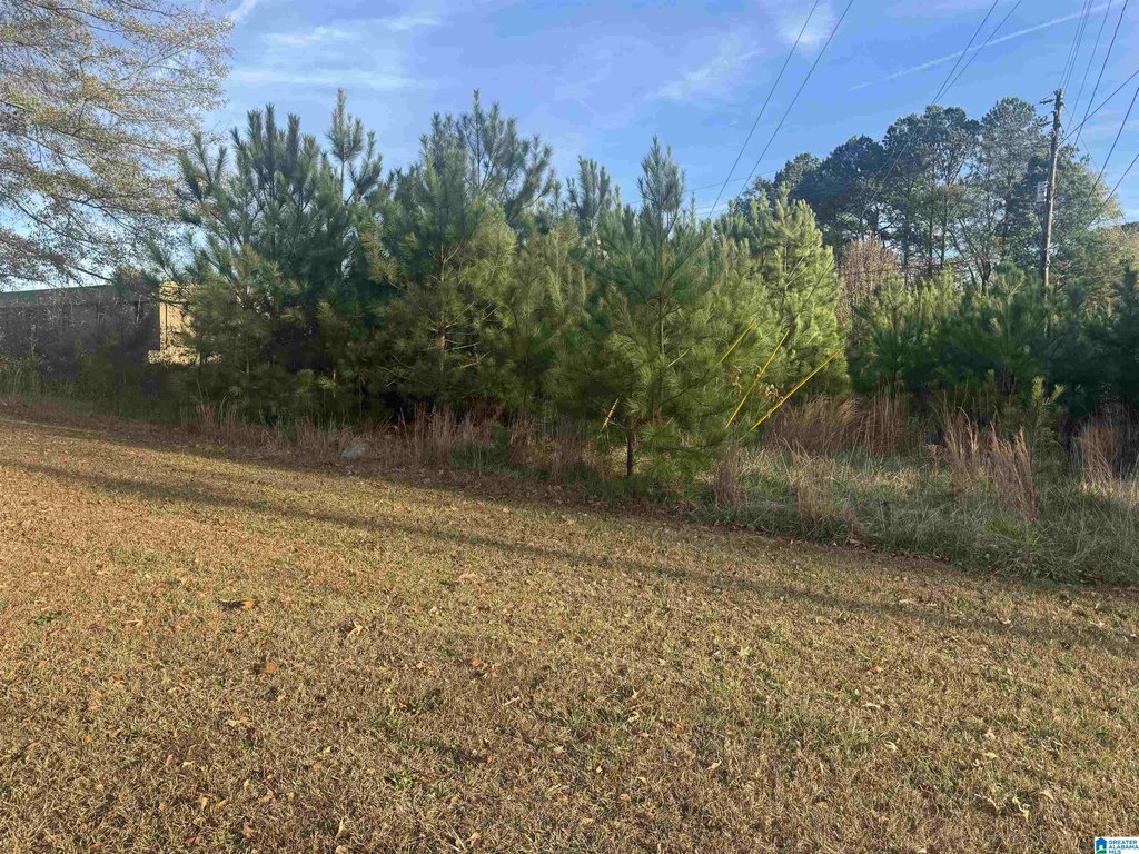 Picture 22