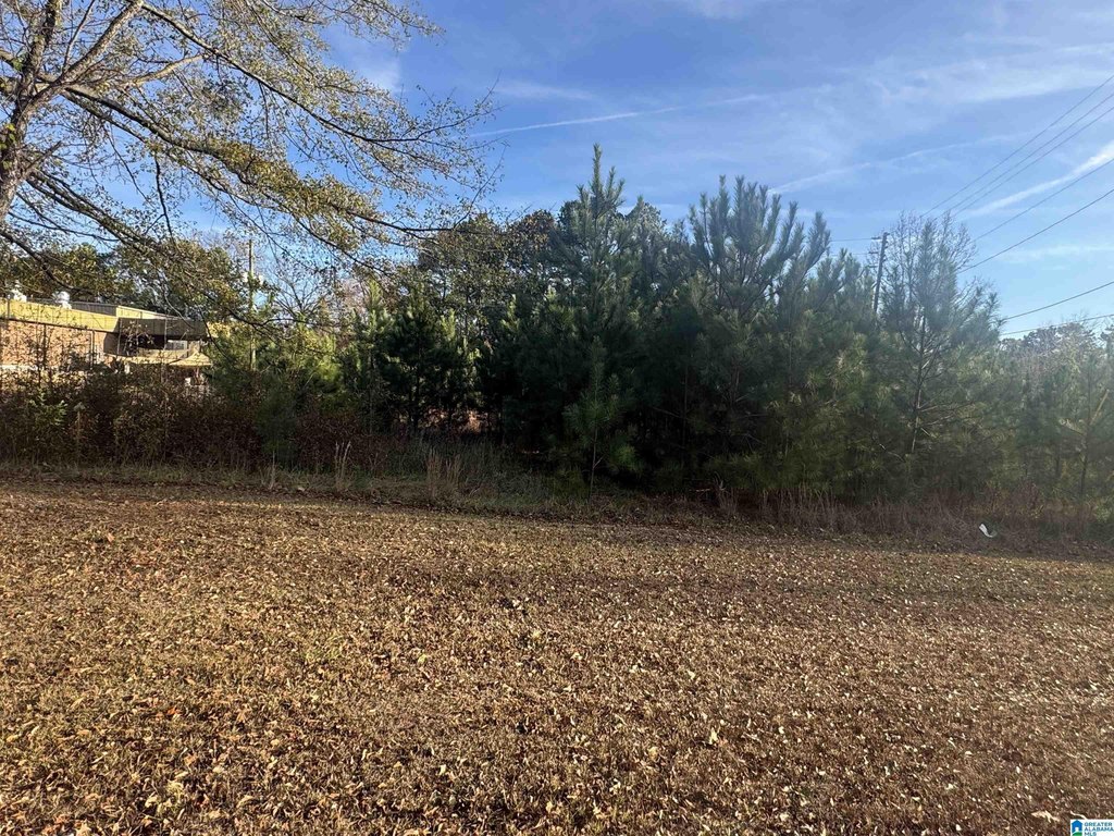 Picture 18