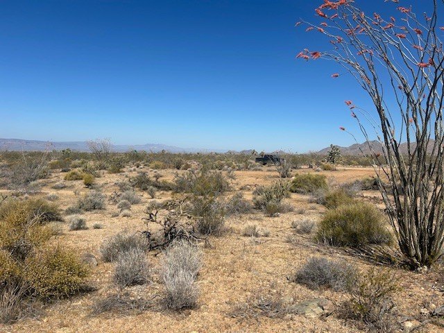 Land in Yucca, Arizona