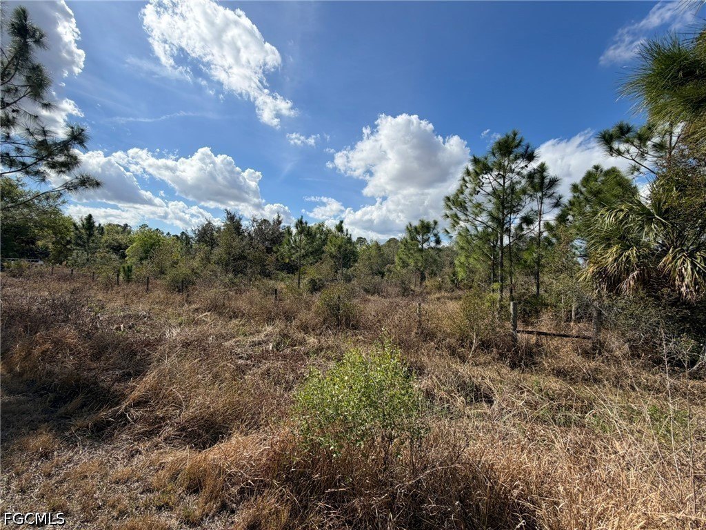 Picture 6