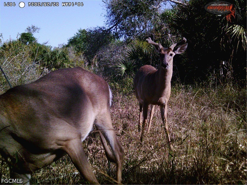 Picture 13