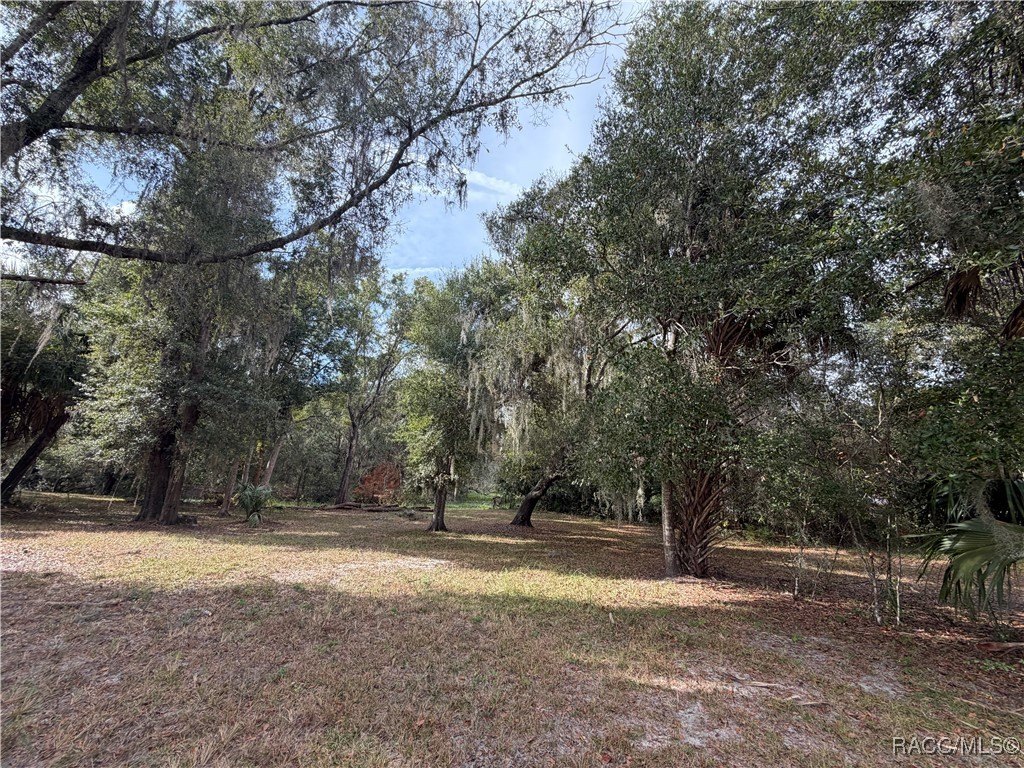 Waterfront Land Near Lake Rousseau