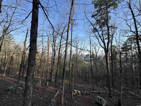 One-Acre Lot with Mountain Views