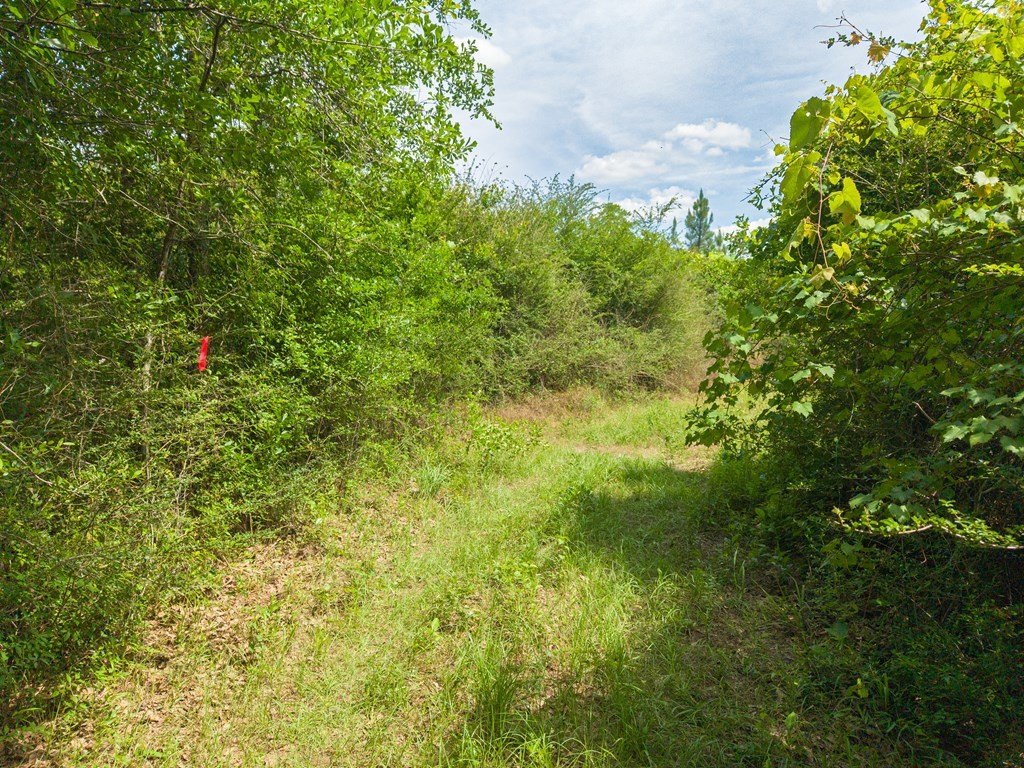 Picture 18