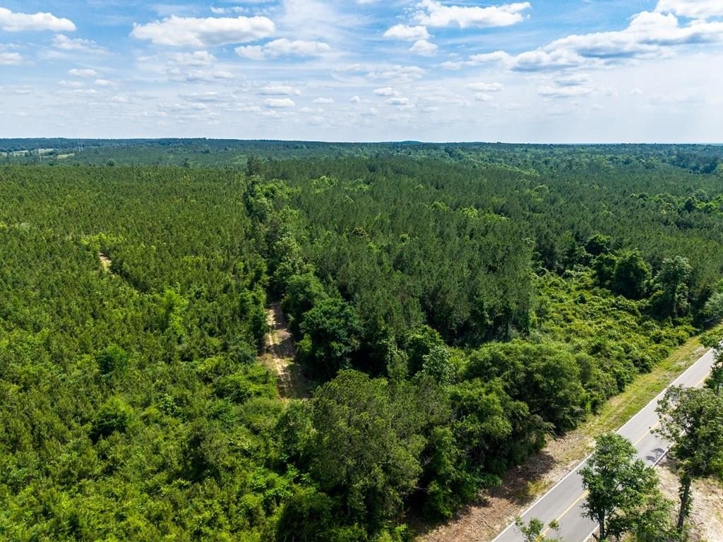 Poplarville Land with Mature Timber