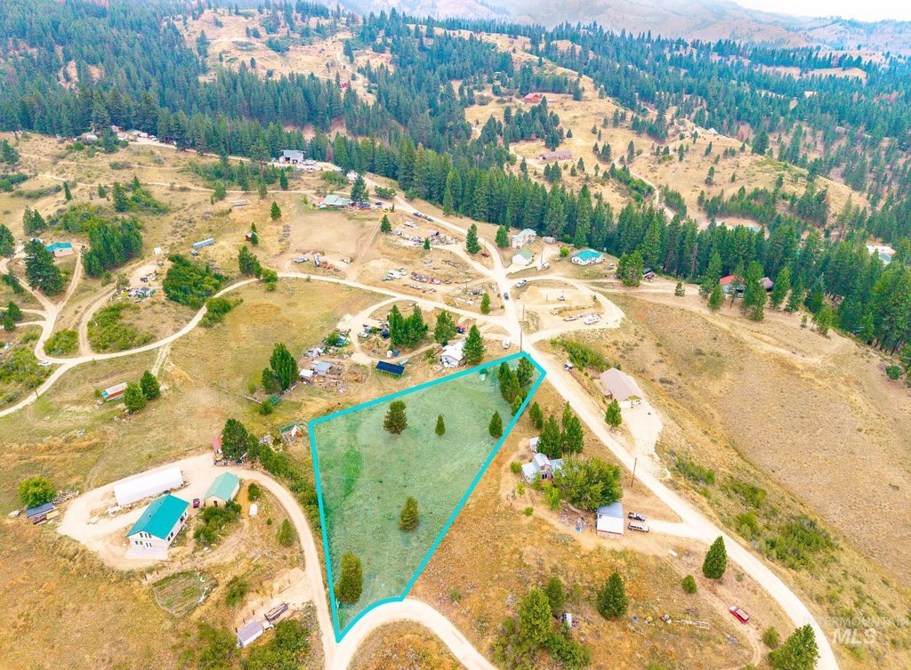 Picture 5