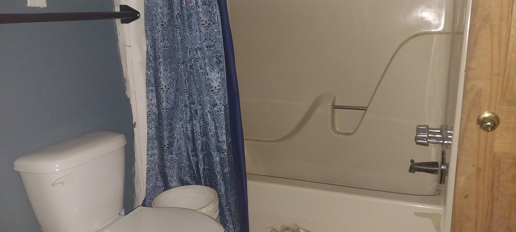 Picture 8