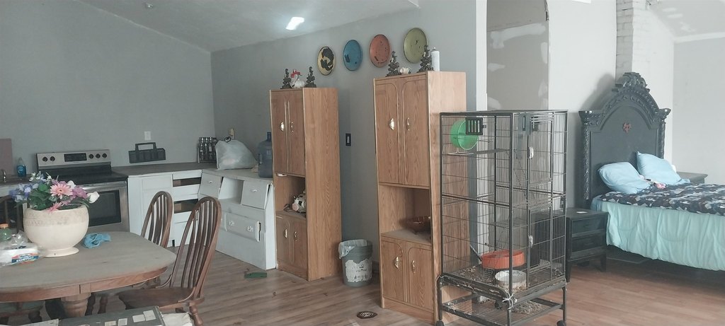 Picture 6