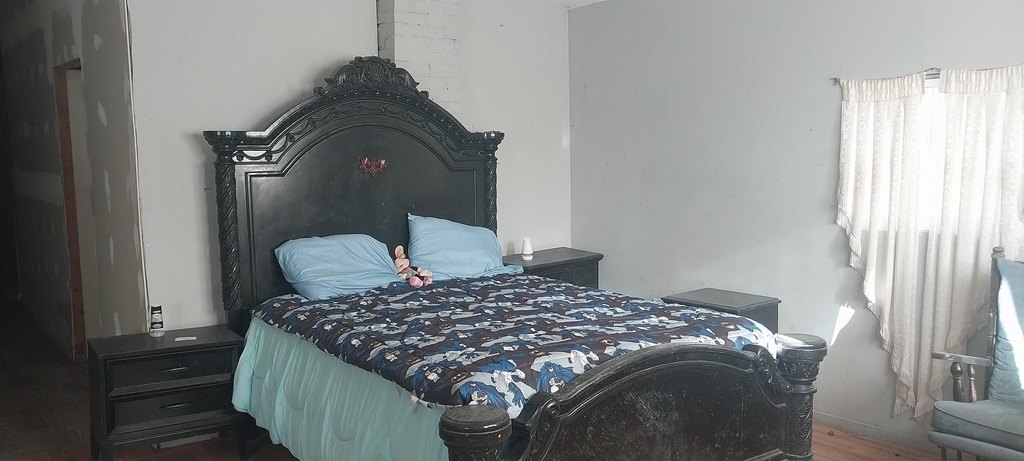 Picture 11