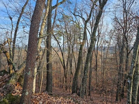 Evensville, TN Land Opportunity