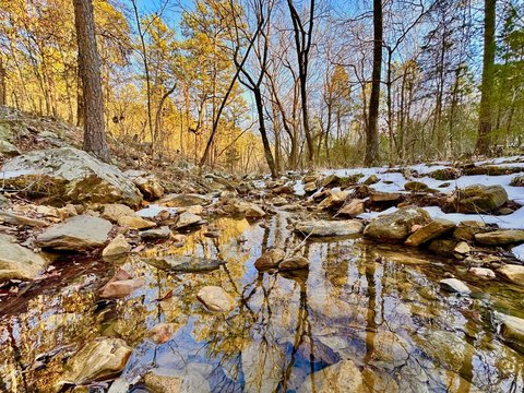 Off-Grid Hunting and Recreation Land