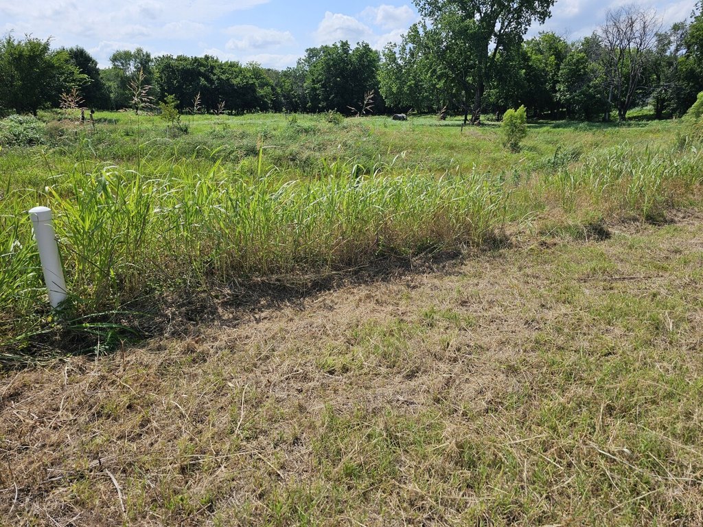 Picture 13