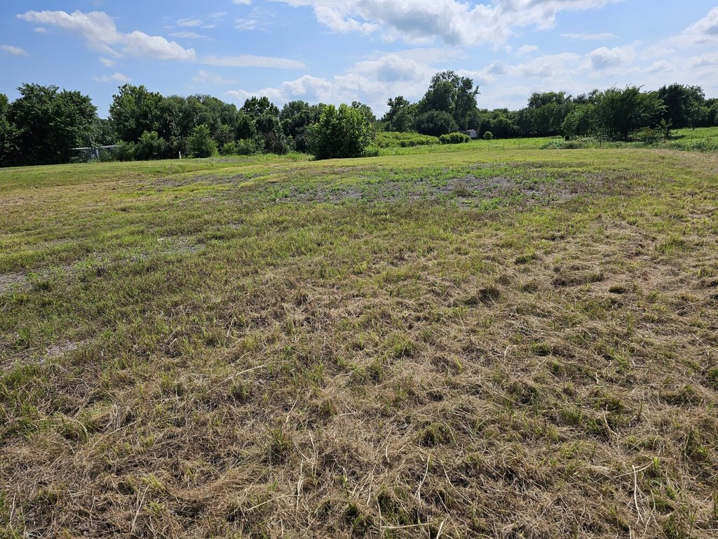 Picture 25