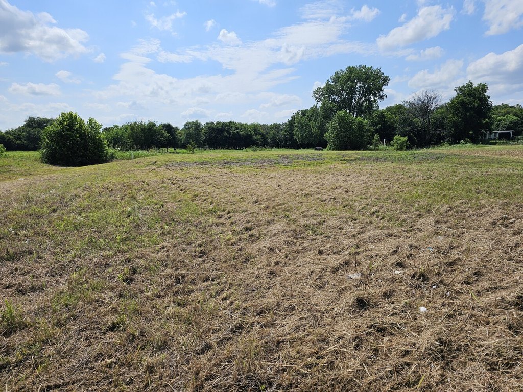 Picture 9