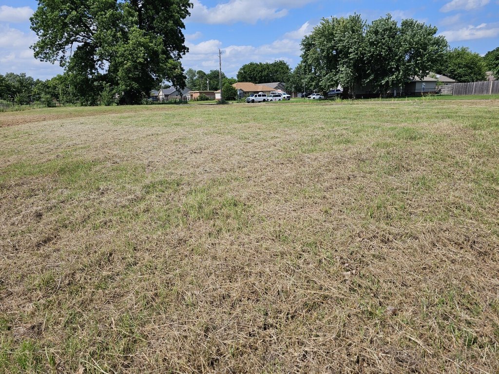 Picture 15