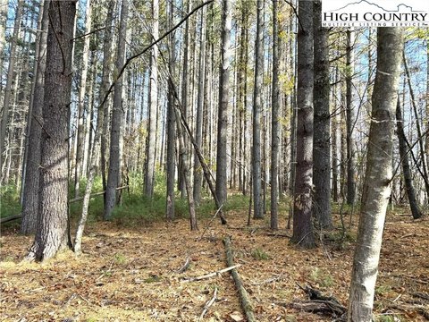 Ennice, NC Building Lot