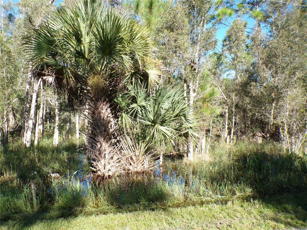 Picture 9