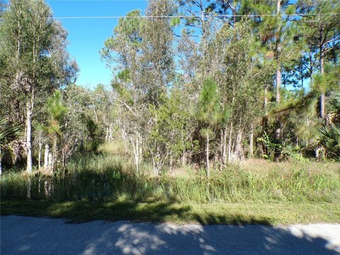 Land, PUNTA GORDA, FL
