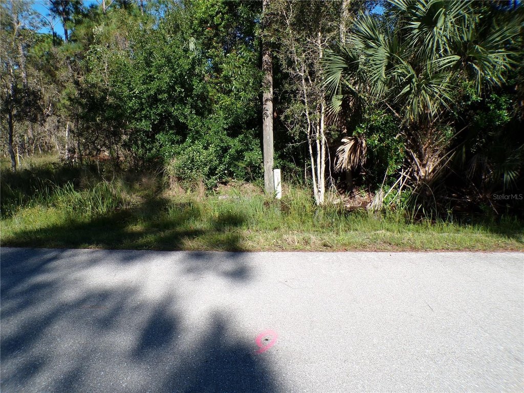 Picture 4