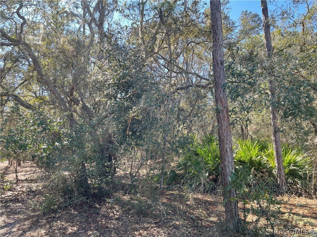 Inverness, FL Land For Sale