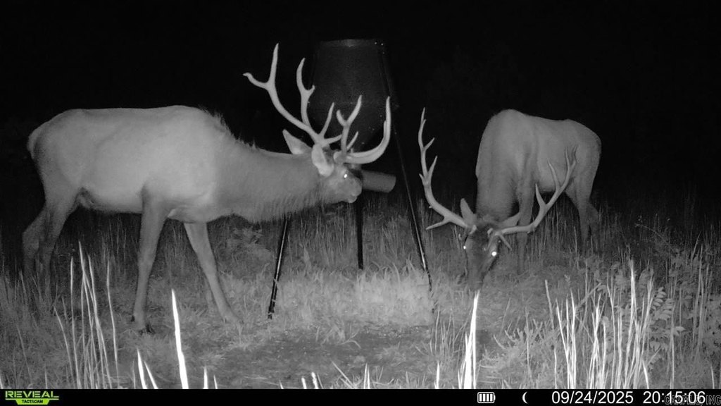 Picture 14