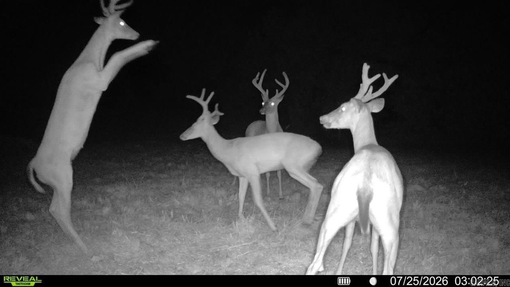 Picture 10