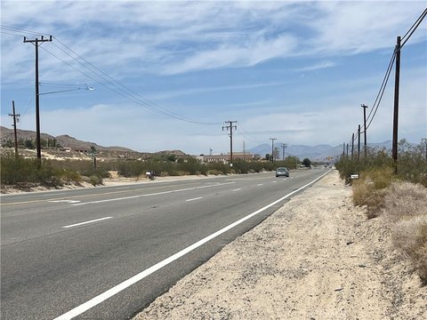 Joshua Tree Land on Highway