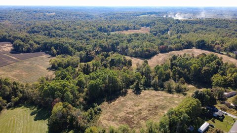 35 Acres in Greene County