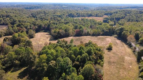 35 Acres in Greene County