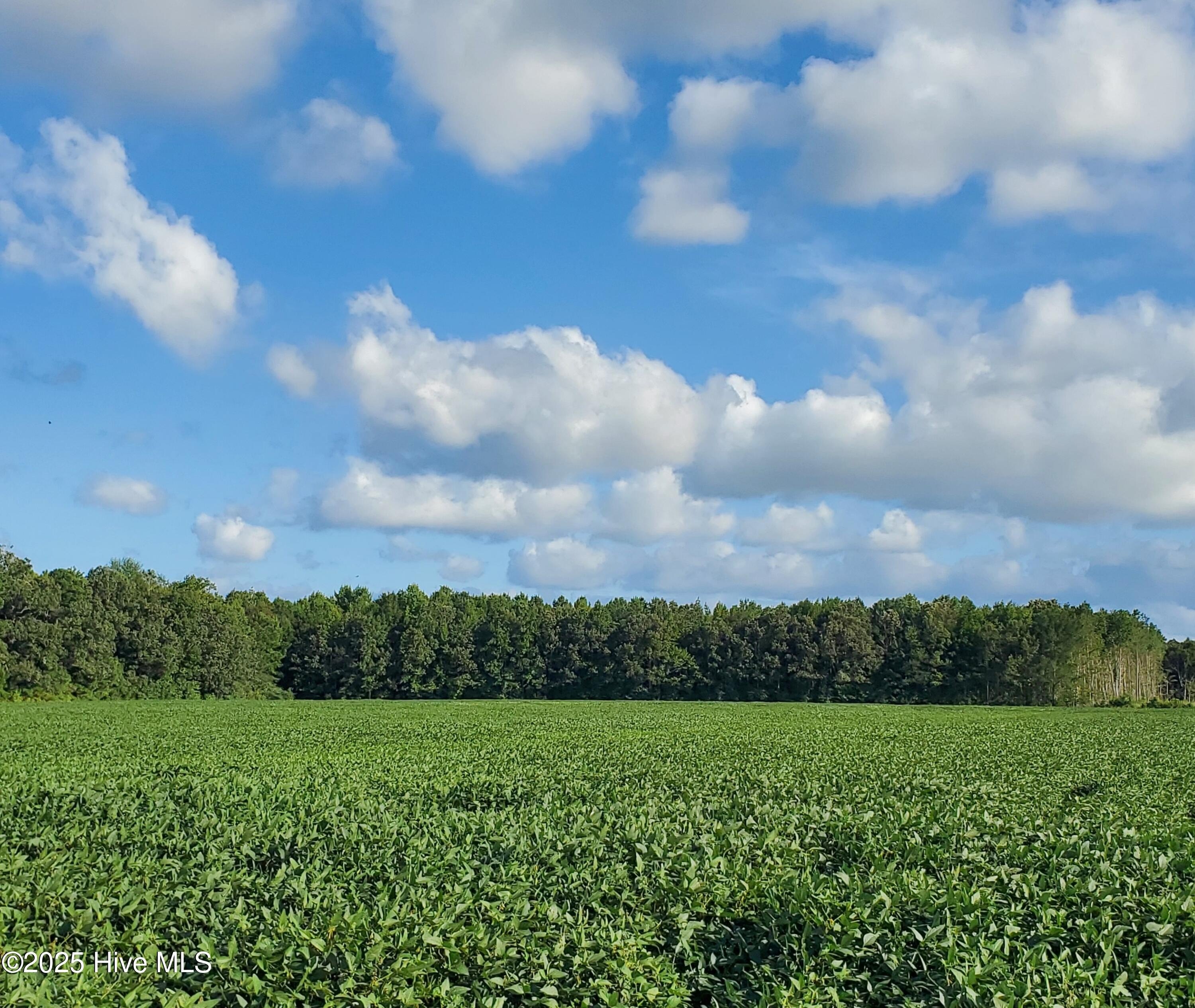 Hertford, NC Land Opportunity