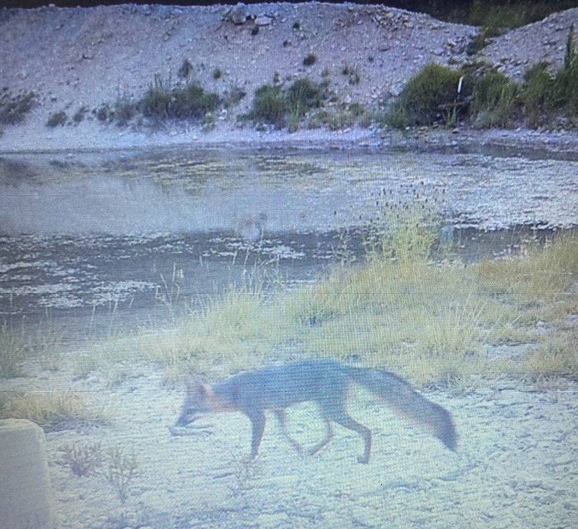 Picture 38