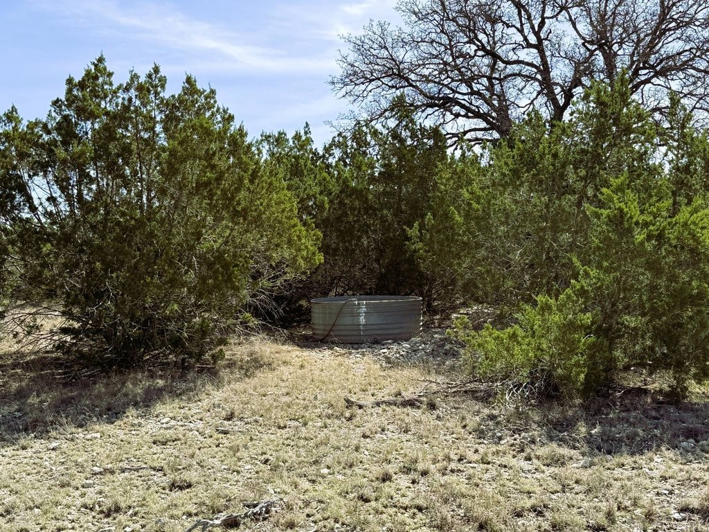 Picture 20